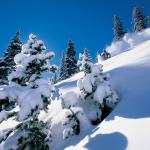 Aspen Highlands