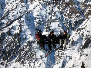 Snowbird
