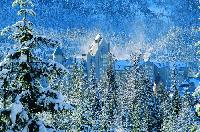 Fairmont Chateau Whistler