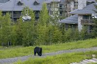 Coast Blackcomb Suites Whistler, Whistler, Kanada