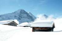 Grindelwald